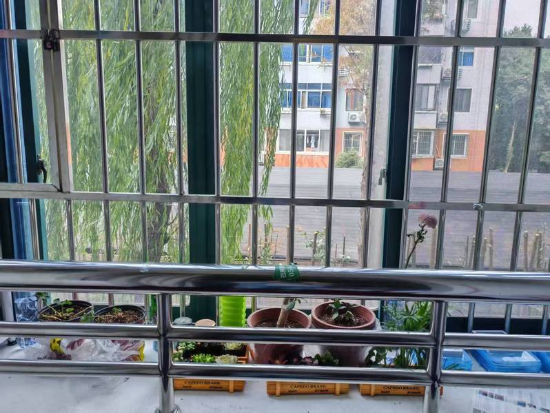 【团学工作】植科系在一站式开展...